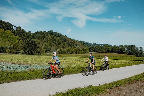 ©WGDDonauOberoesterreichTourismusGmbHCMVisuals
Donauradweg reloaded, Radfahrerinnen am Donauradweg beim Gemüsefeld Pupping Eferding
